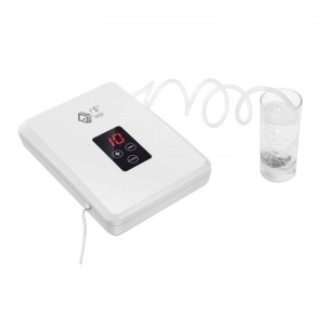 laveuse de fruits et de légumes de l'ozone de machine de désintoxication d'utilisation de cuisine de cuisine avec la fonction de minuterie